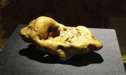 狗头金在线观看,在线观看揭秘黄金宝藏之谜